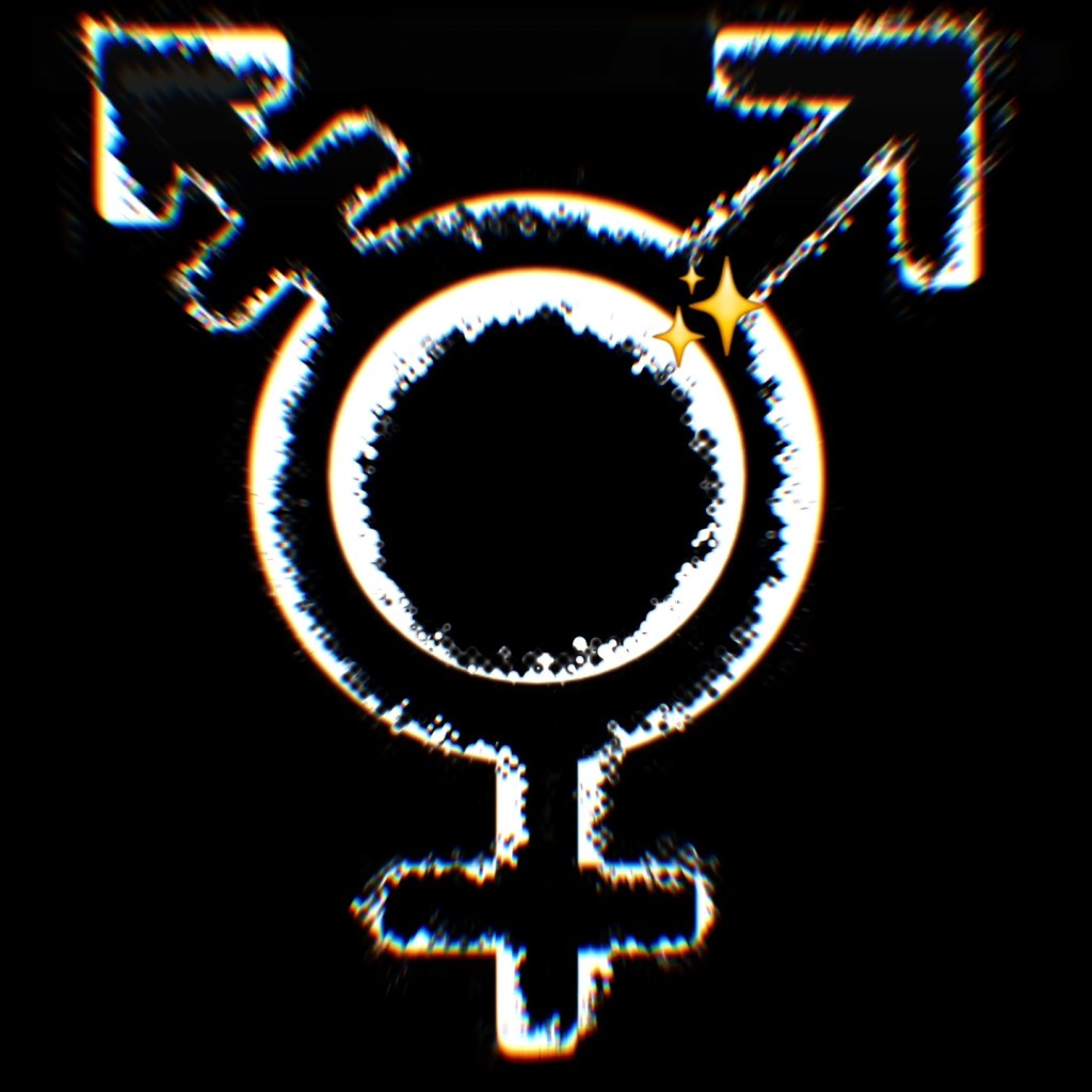 Cadets who met all Air Force Academy graduation standards denied commissions because they’re&nbsp;transgender